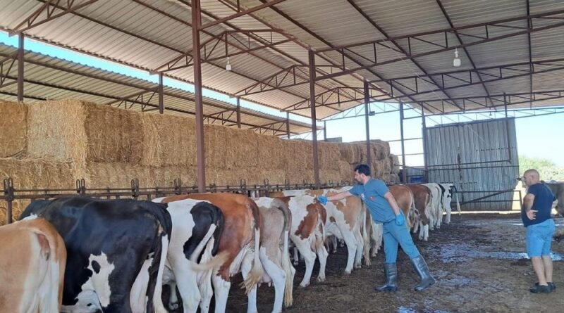 Köşk'te 12 mahalle karantinaya alındı 1