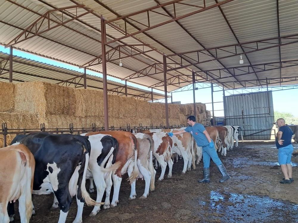 Köşk’te 12 mahalle karantinaya alındı