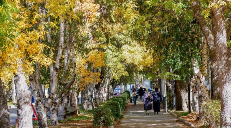 Meteorolojiden kuvvetli rüzgar ve kar uyarısı 1