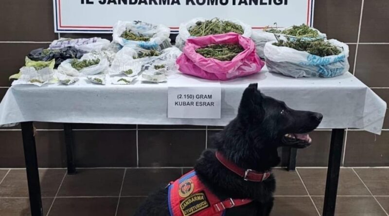 Muş’ta uyuşturucu operasyonu: 1 gözaltı 1