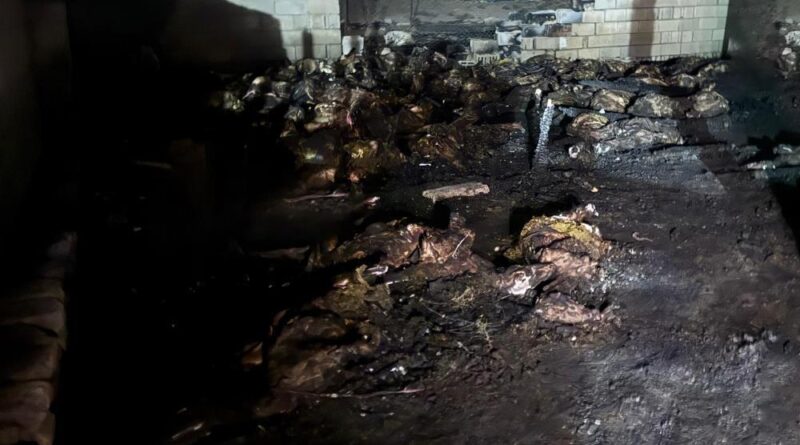 Niğde'de ahır yangını: 170 koyun telef oldu 1