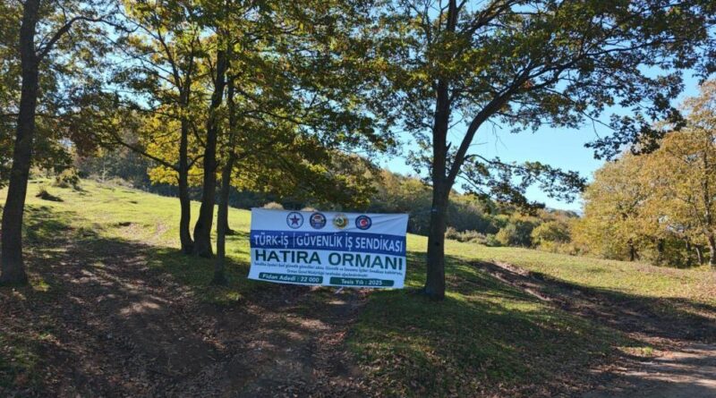 Sakarya’da yeşil geleceğe katkı: 22 bin fidan toprakla buluştu 1