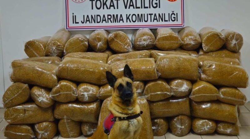 Tokat’ta 450 kilo kaçak tütün yakalandı 1