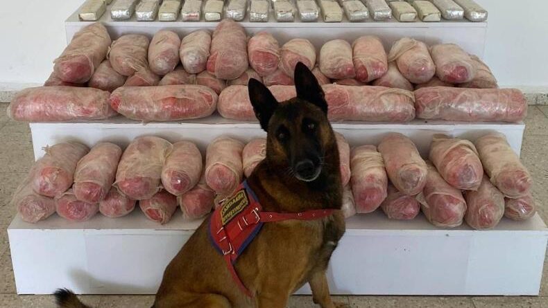 Van'da 67 kilo uyuşturucu ele geçirildi 1