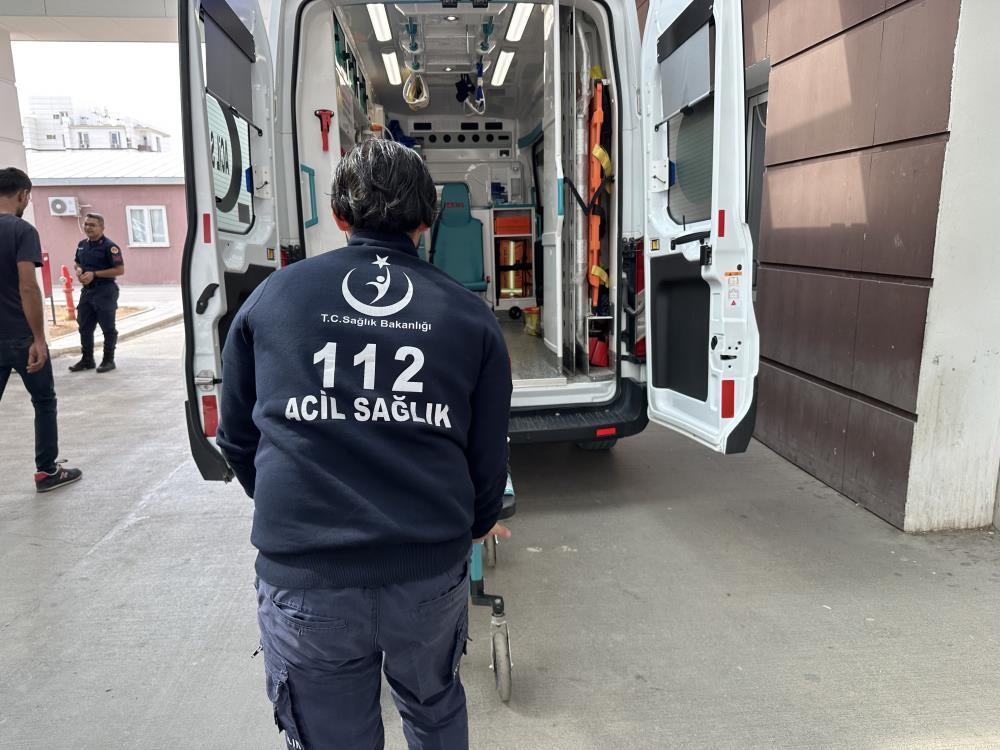 Zeytin ağacından düşen kişi yaralandı