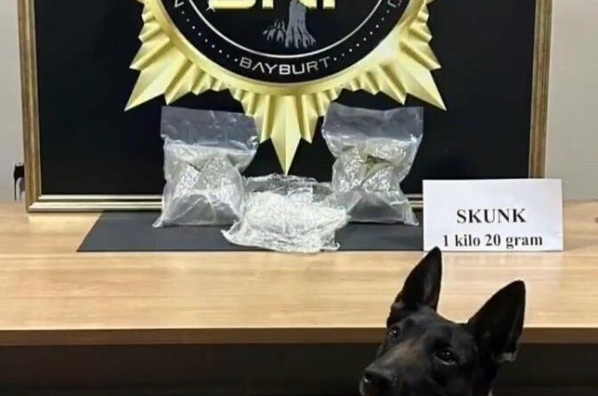 Bayburt'ta bavula yerleştirilmiş 1 kilo 20 gram skunk ele geçirildi 1