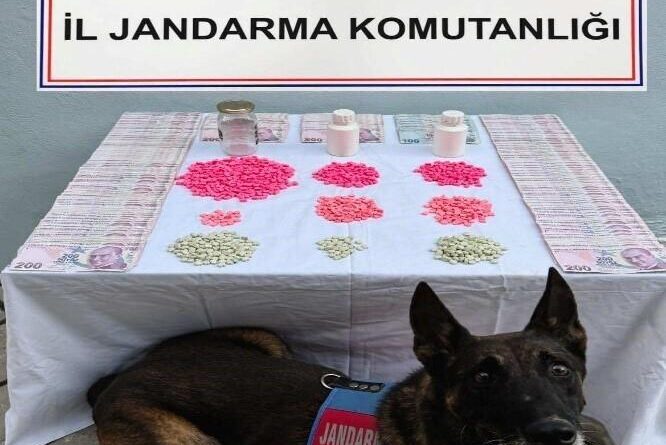 Denizli’de tacirlerine operasyon düzenlendi 1