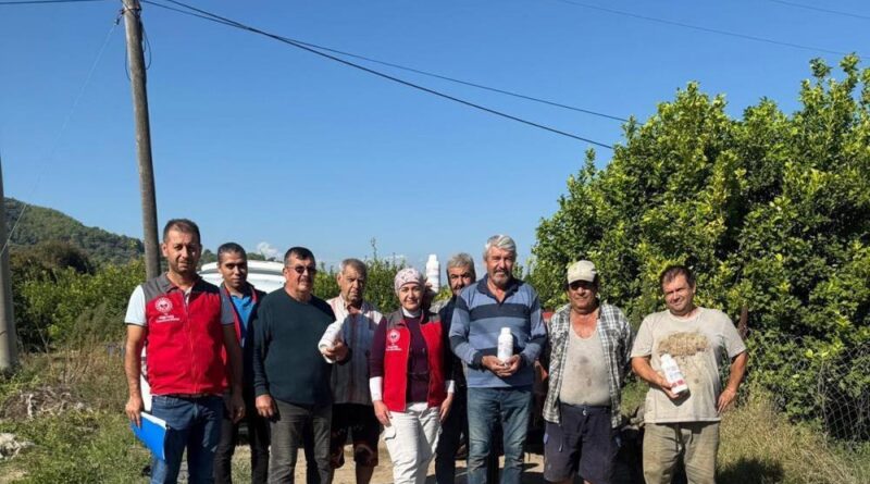Ortaca’da narenciye bahçelerinde zararlılara karşı mücadele sürüyor 1