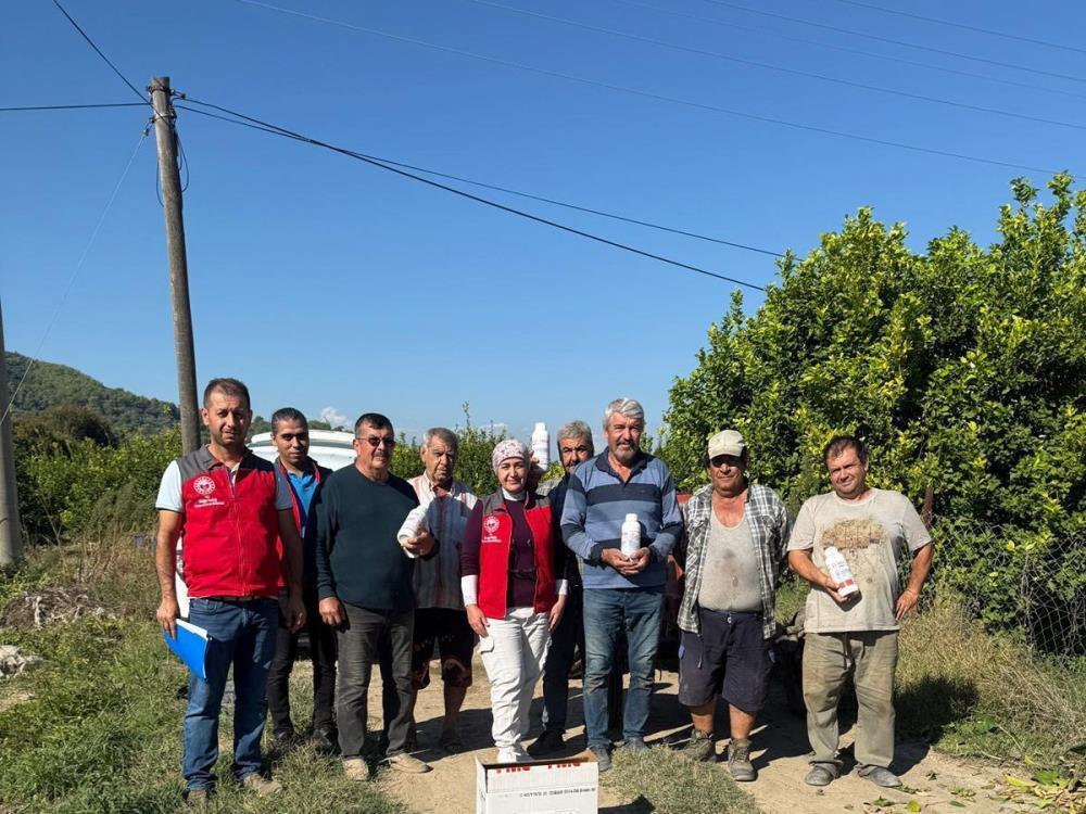 Ortaca’da narenciye bahçelerinde zararlılara karşı mücadele  sürüyor