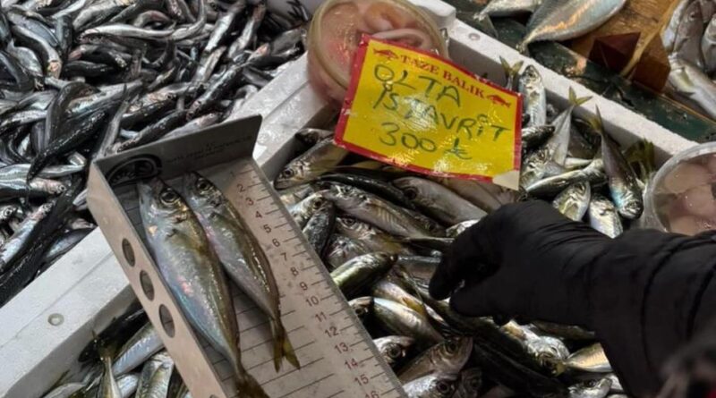 Tekirdağ’da balık tezgahlarına sıkı denetim: Boy ölçümleriyle sürdürülebilir avcılığa destek 1