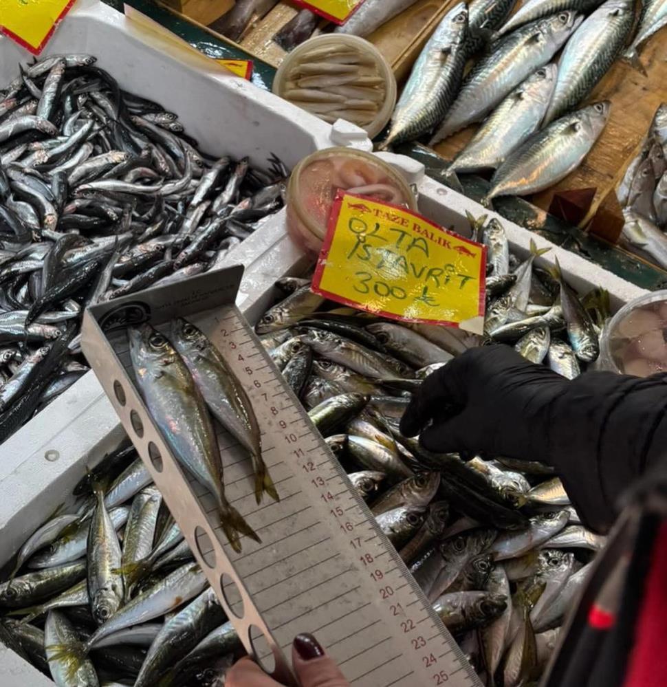 Tekirdağ’da balık tezgahlarına sıkı denetim: Boy ölçümleriyle sürdürülebilir avcılığa destek